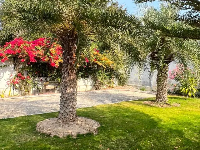 place photo 29