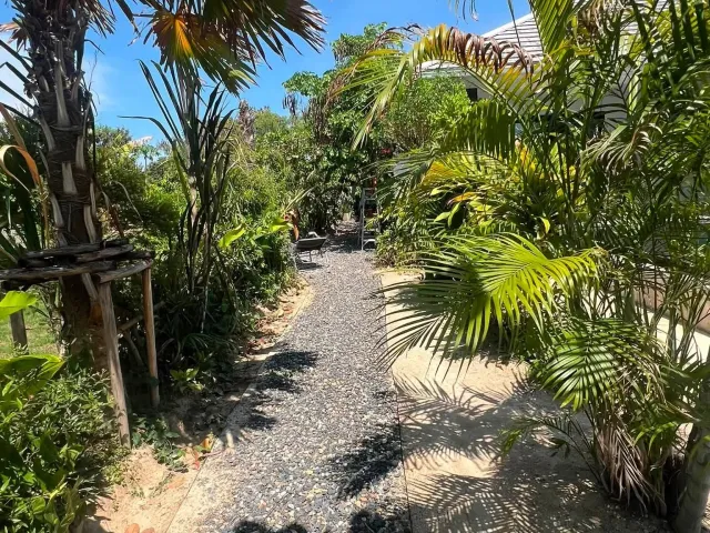 place photo 34