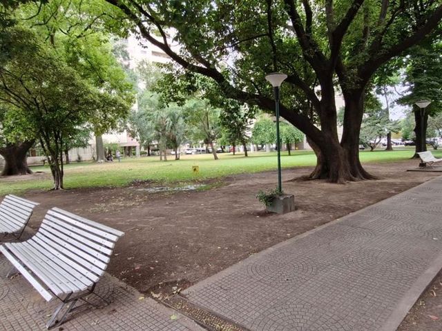 place photo 24