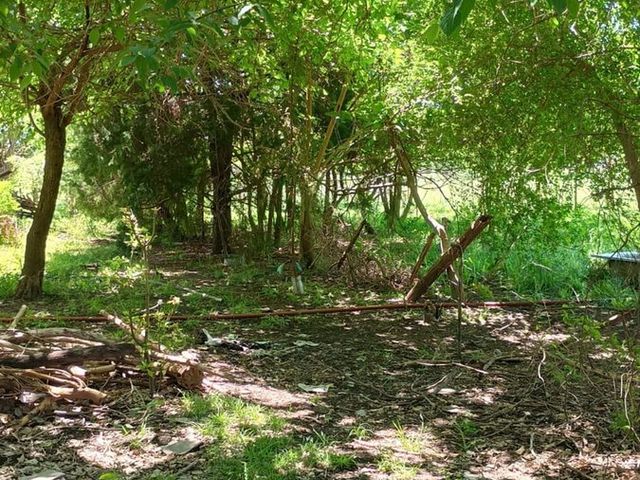 place photo 28