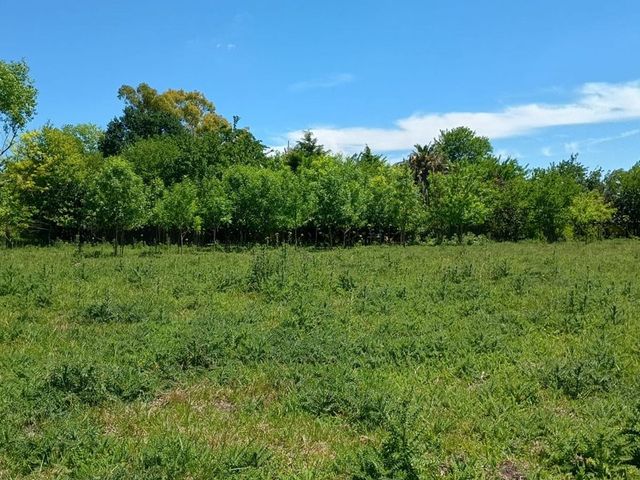 place photo 29