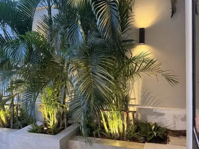 place photo 26