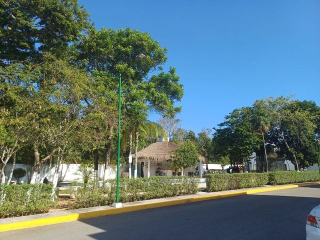 place photo 22