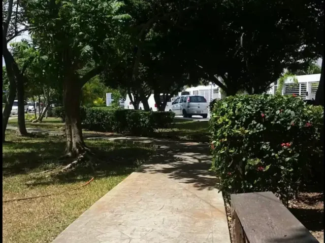 place photo 16
