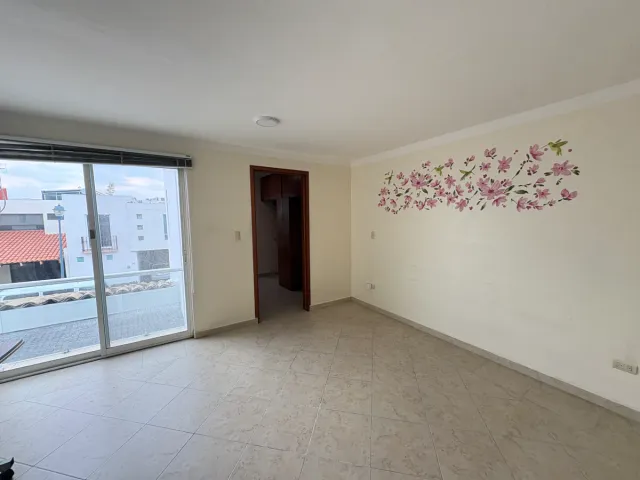 place photo 38