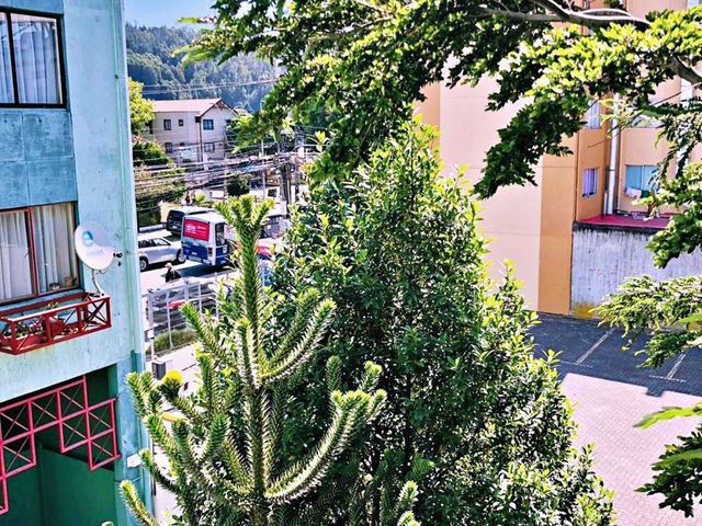 place photo 18