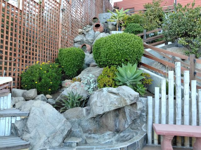 place photo 17