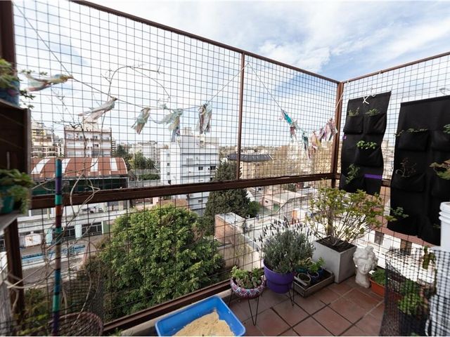 place photo 13