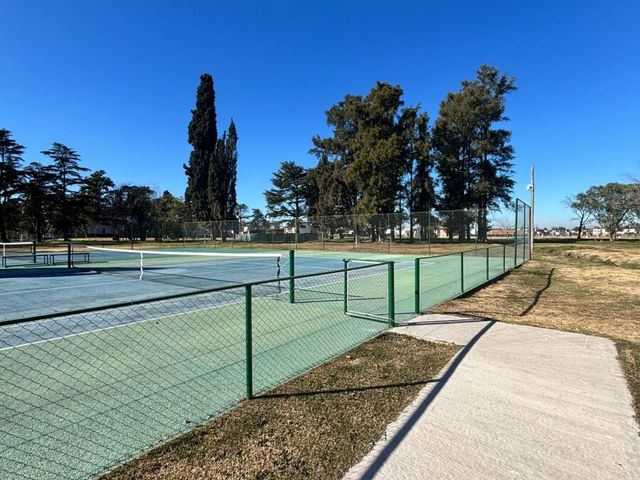 place photo 17