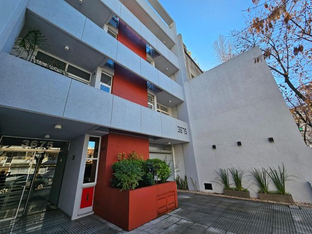 place photo 16