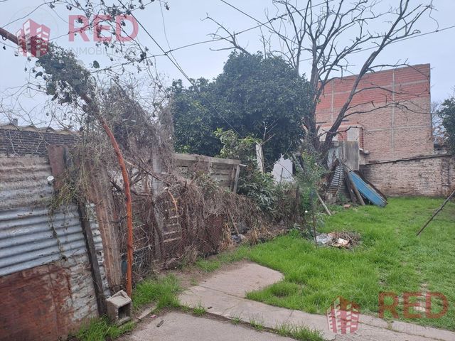 place photo 33