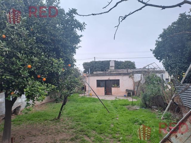 place photo 35