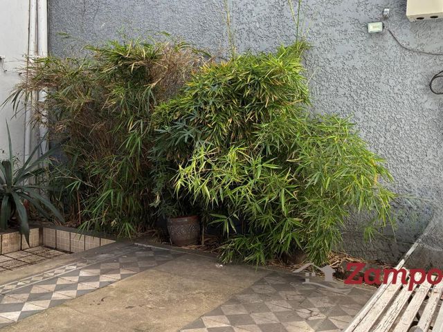 place photo 34