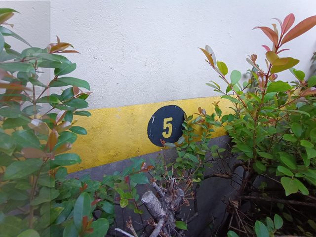 place photo 36