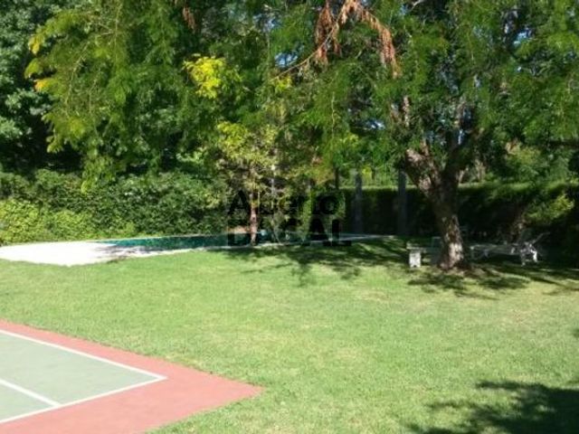 place photo 32