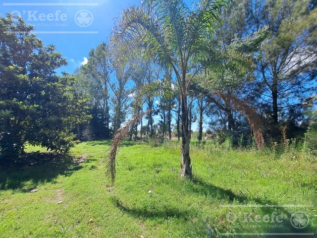 place photo 11