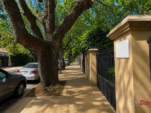 place photo 47