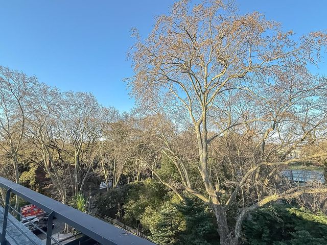 place photo 45