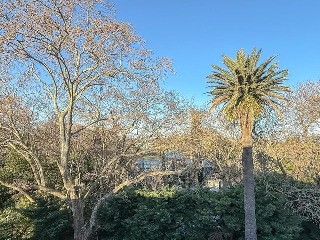 place photo 43