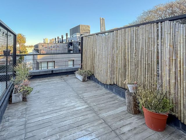place photo 38