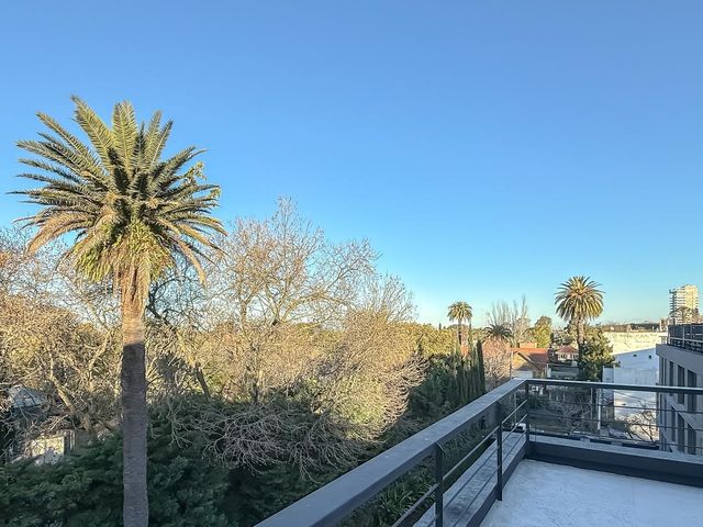 place photo 44