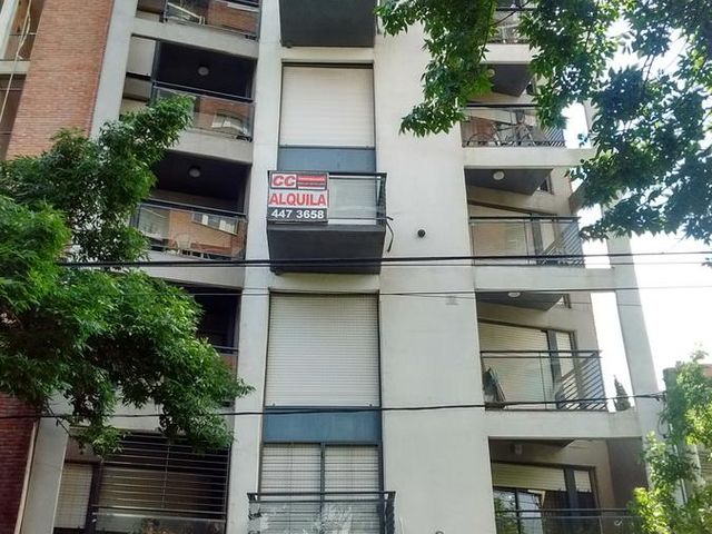 place photo 15