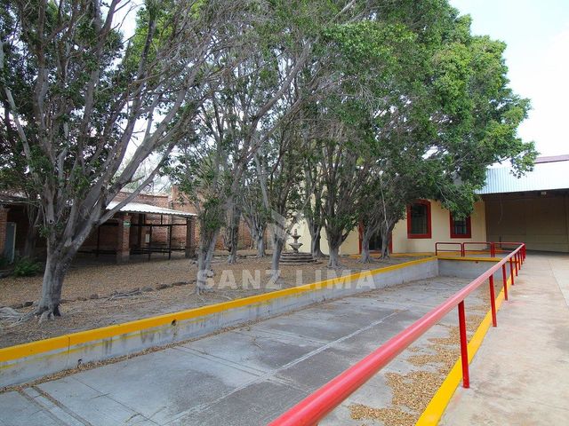 place photo 19