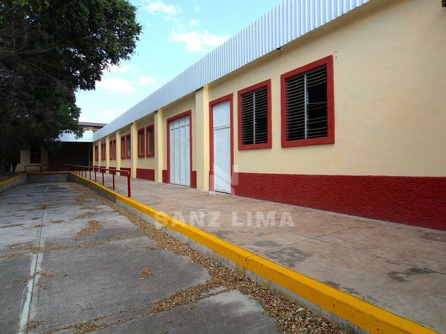 place photo 18