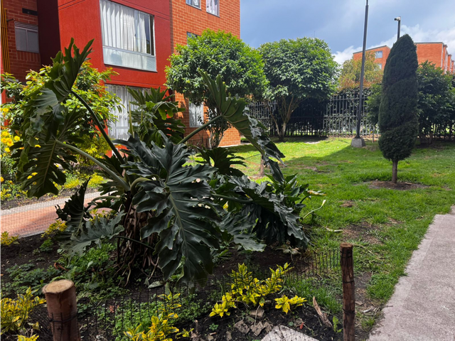 place photo 16