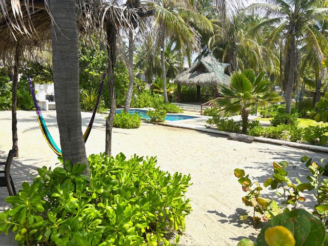 place photo 31