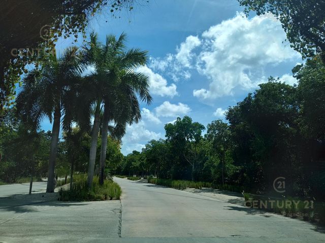 place photo 26