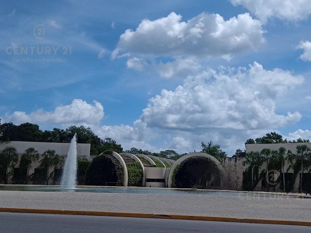 place photo 28