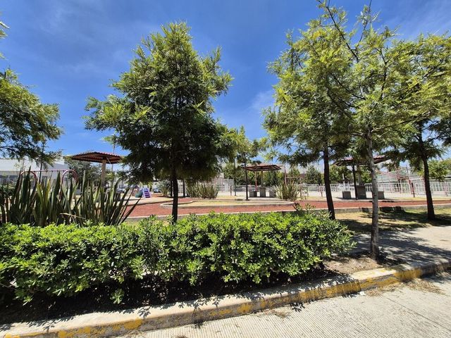 place photo 25