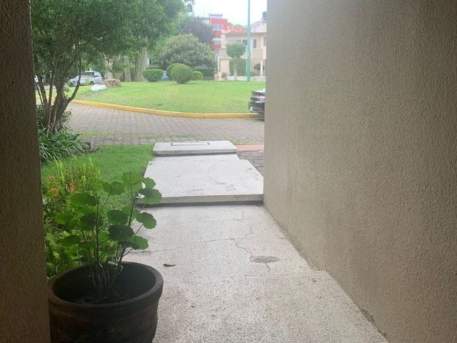 place photo 45