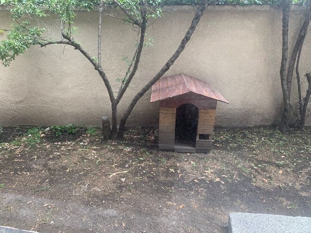 place photo 43