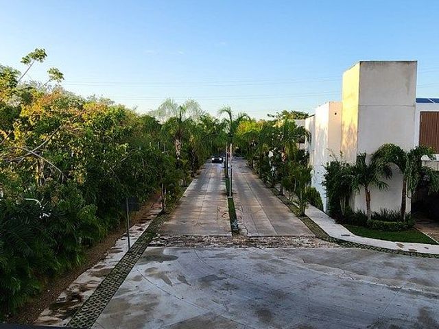 place photo 31