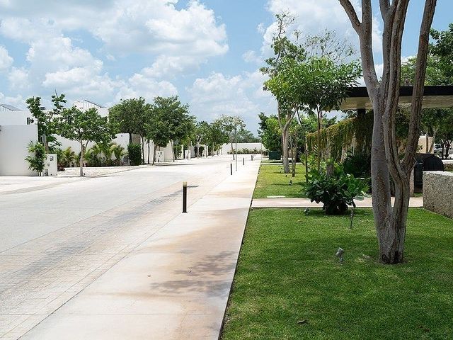place photo 19