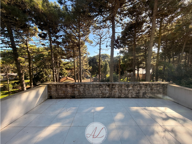 place photo 36
