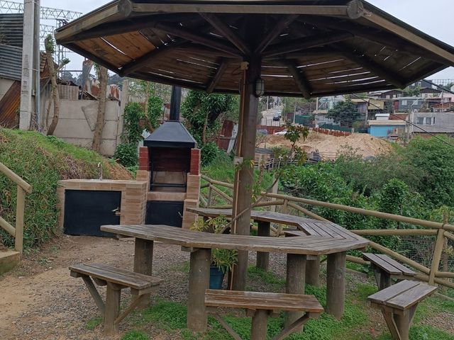 place photo 29