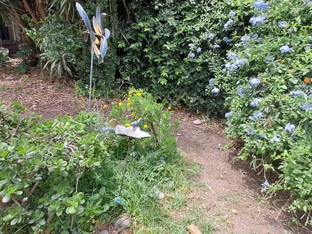 place photo 35