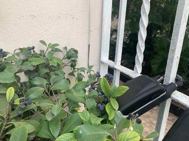 place photo 13