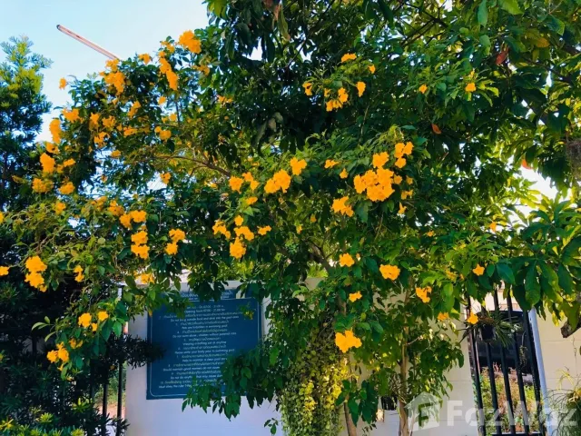 place photo 39