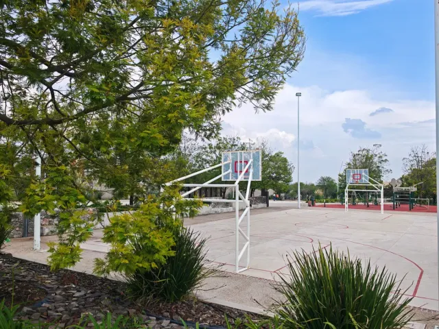 place photo 28
