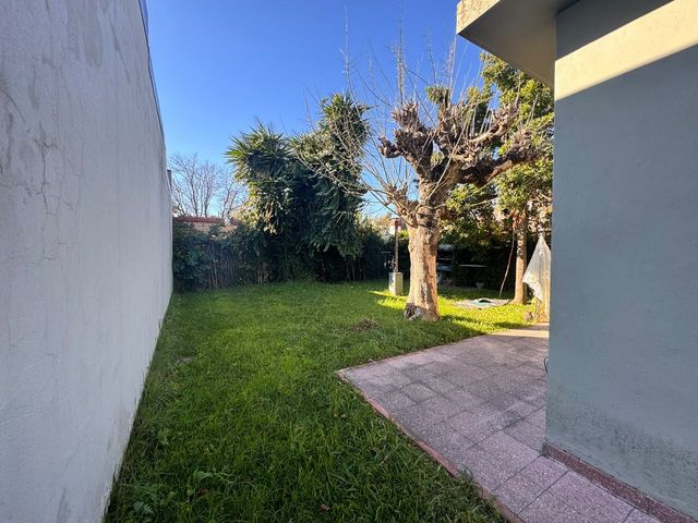 place photo 48
