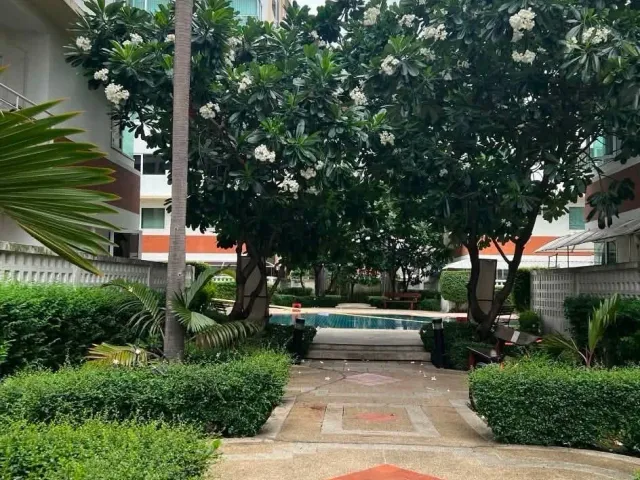 place photo 10