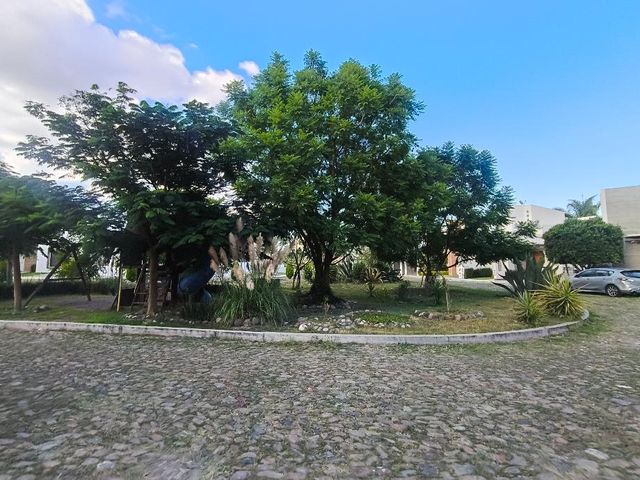 place photo 43
