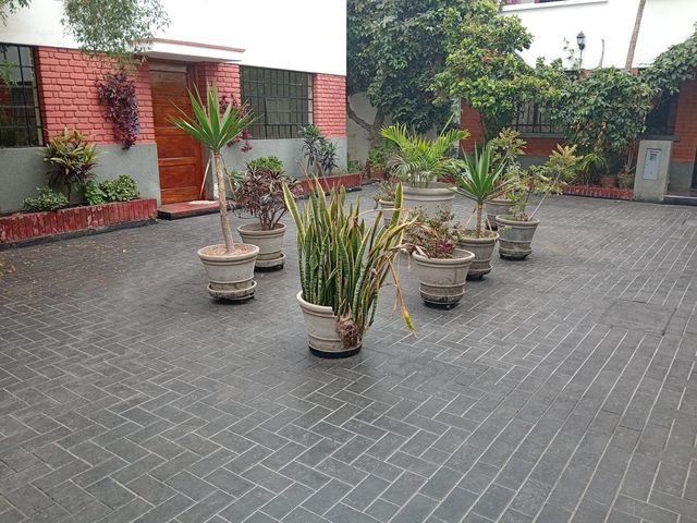 place photo 41