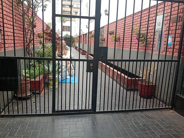 place photo 44
