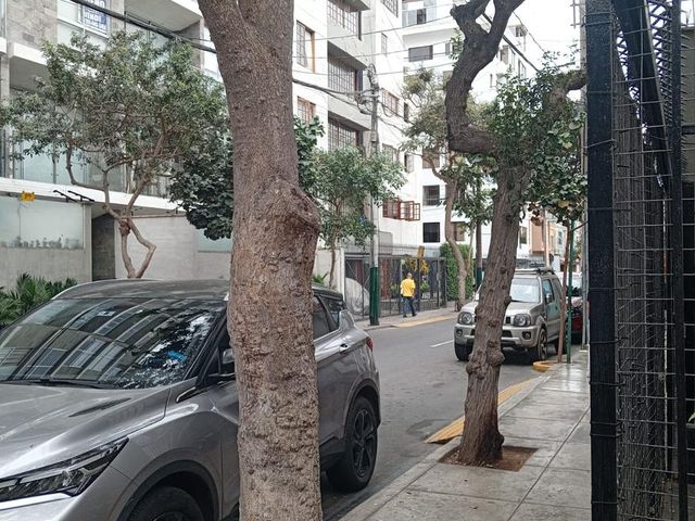 place photo 47
