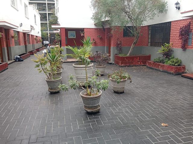 place photo 40